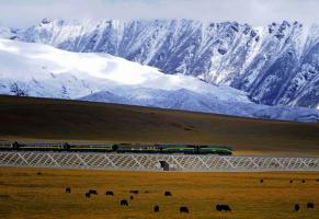 Qinghai–Tibet Railway Snowy Mountain 